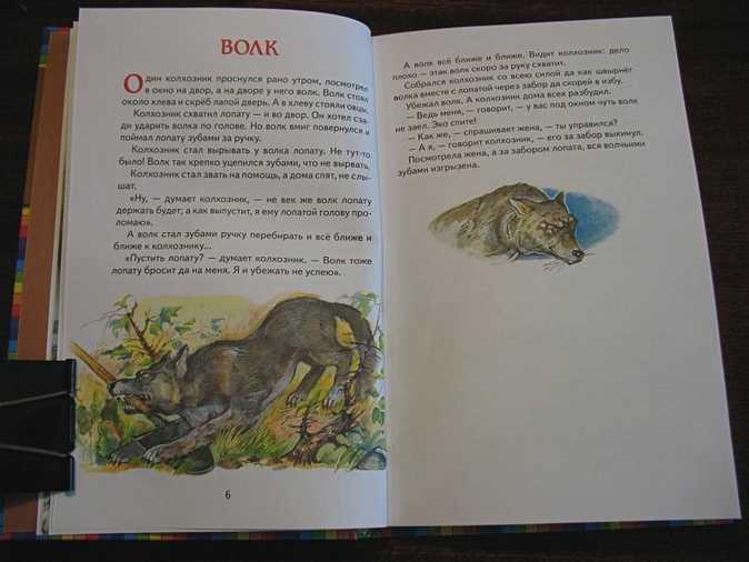 Борис степанович житков «про волка» читать - (дикий зверь у меня был приятель-охо...)