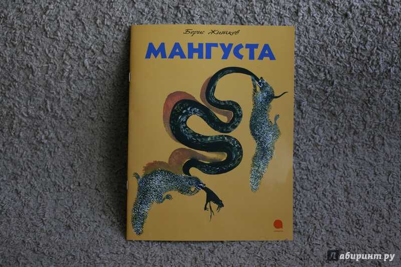 Книга пена дней читать онлайн борис виан