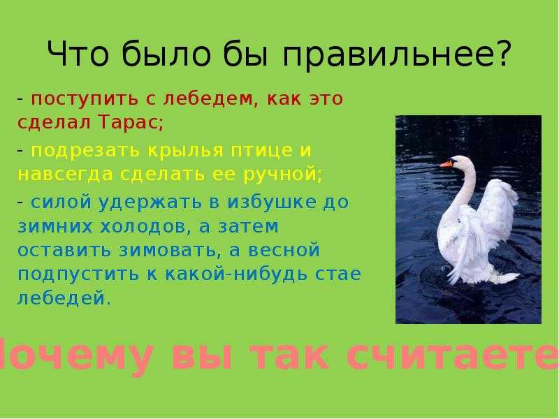 4 класс: диктанты по русскому языку с грамматическими заданиями