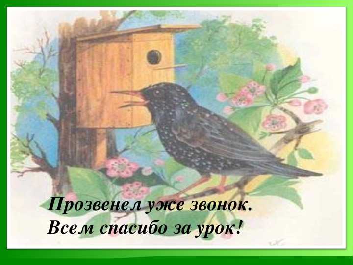 Скворцы — куприн а. и