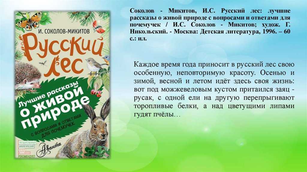 Мои собаки