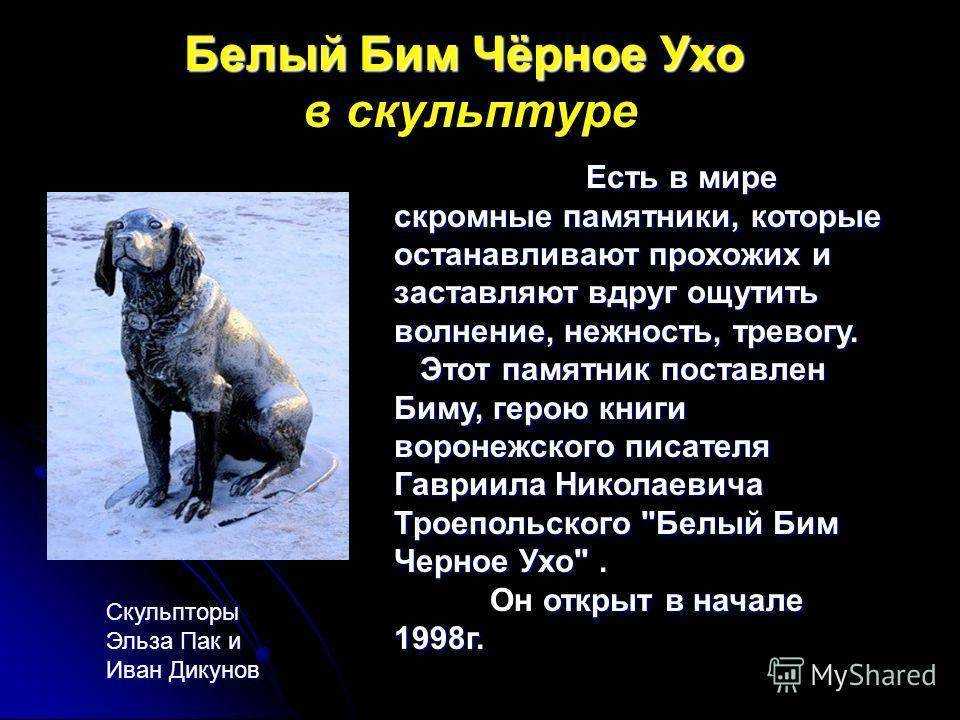 Самые пронзительные детские рассказы о совести. осеева почему (совесть) читать текст рассказа полностью онлайн