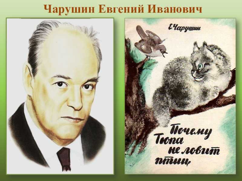 Кот епифан  — рассказ евгения чарушина