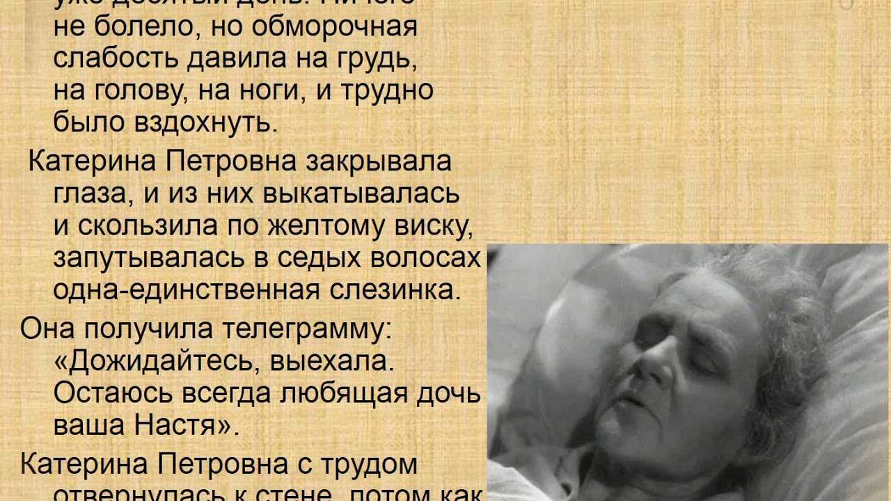Краткое содержание рыжий кот осеевой за 2 минуты пересказ сюжета