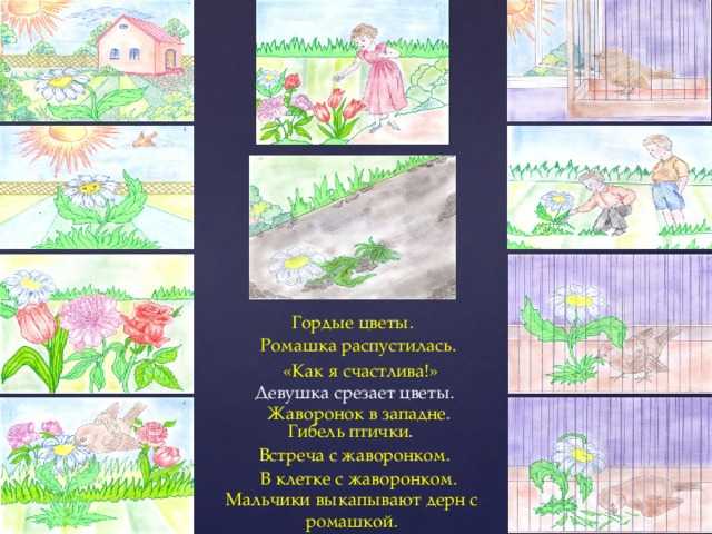Ромашка