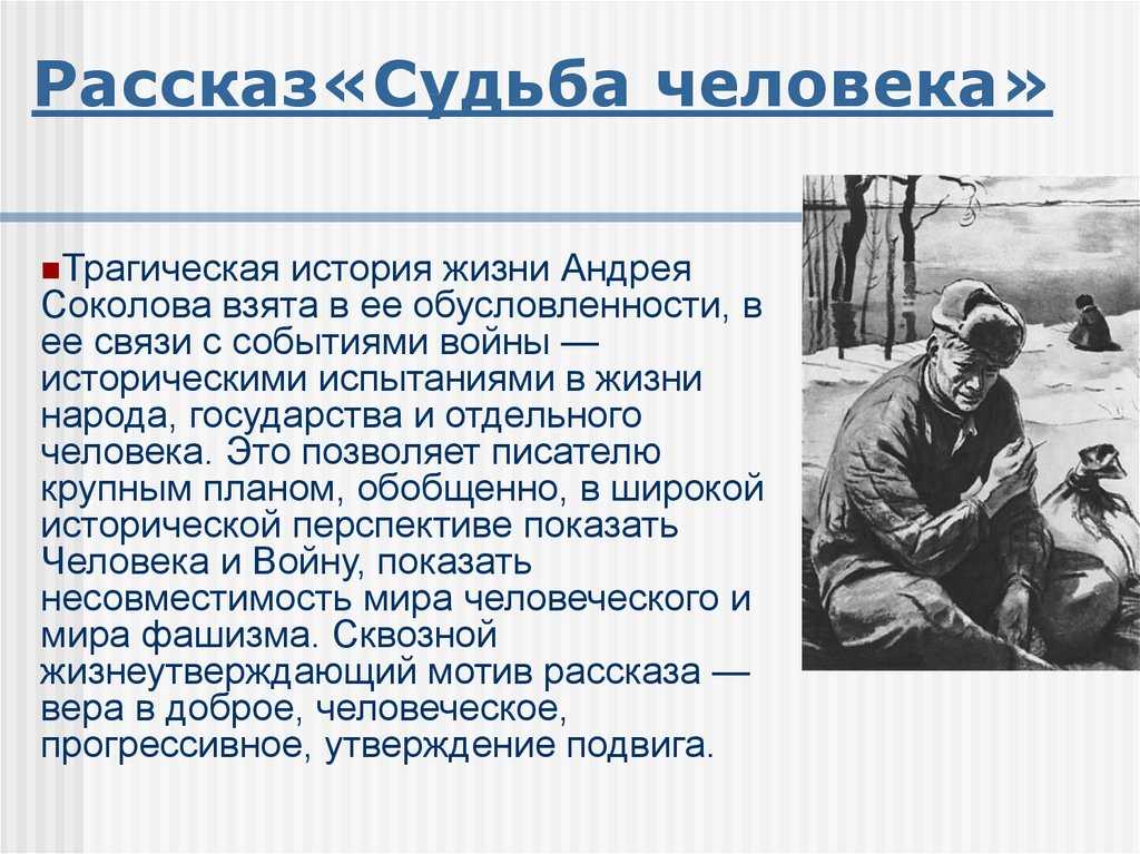 Гражданская война как трагедия народа (по роману шолохова «тихий дон») :: сочинение по литературе на сочиняшка.ру