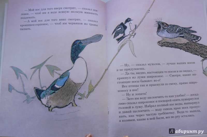 Бианки в.в. – чей нос лучше
