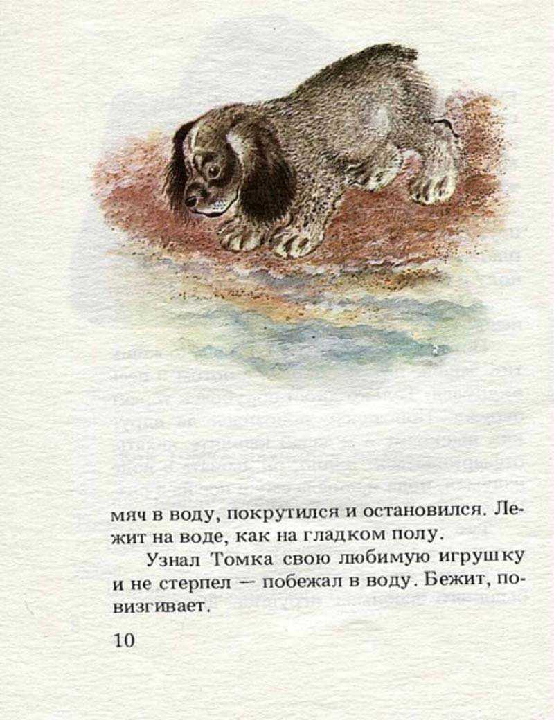 Книга генералы песчаных карьеров читать онлайн жоржи амаду