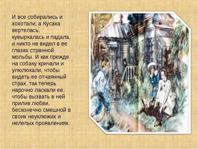 Белый пудель краткое содержание (куприн александр) ⚡️ читать на ryfma