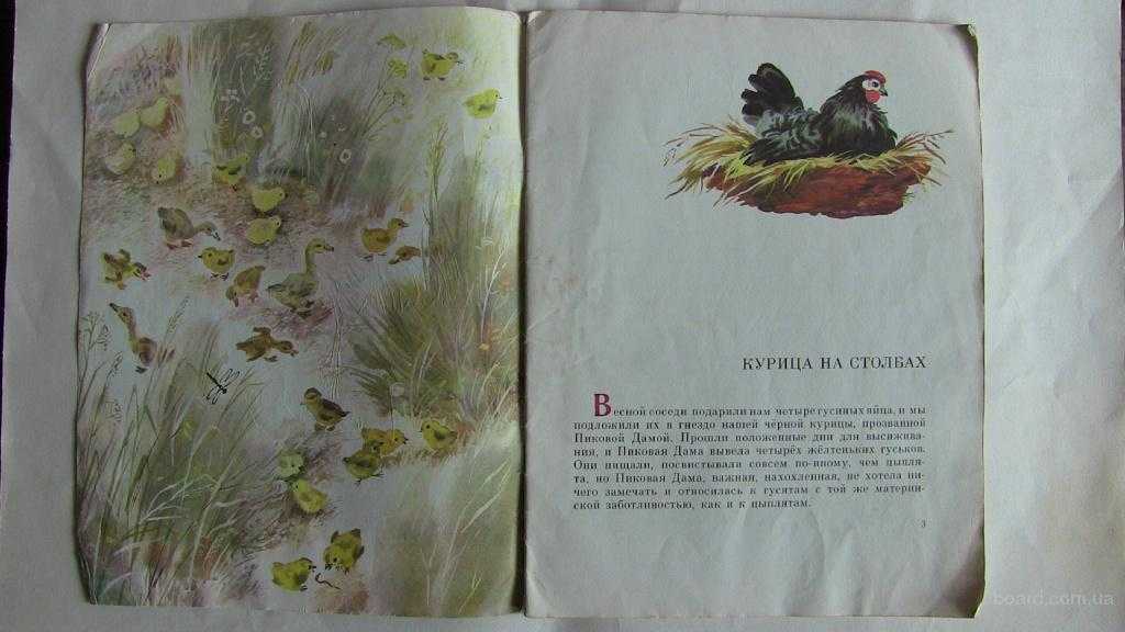 Книга курица на столбах читать онлайн