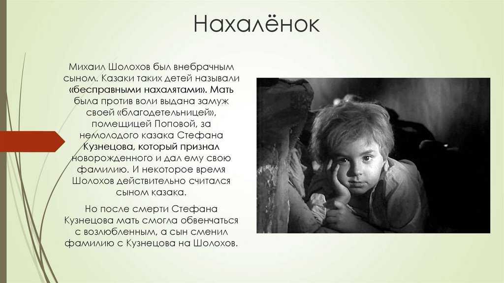 Краткое содержание шолохов родинка точный пересказ сюжета за 5 минут