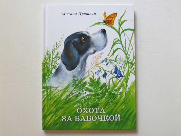 Пришвин медведь муравьи охота за бабочками