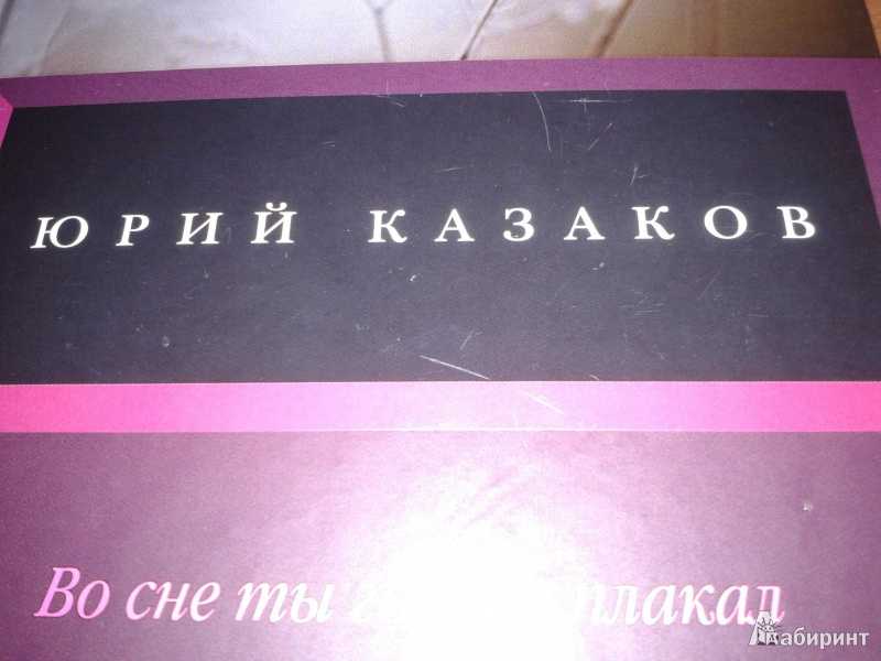 Запах хлеба казаков краткое содержание. краткое содержание казаков во сне ты горько плакал
