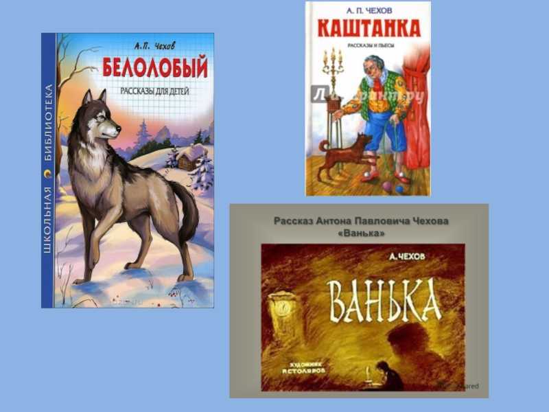 Витающие в облаках. как метеорологи «предсказывают» будущее