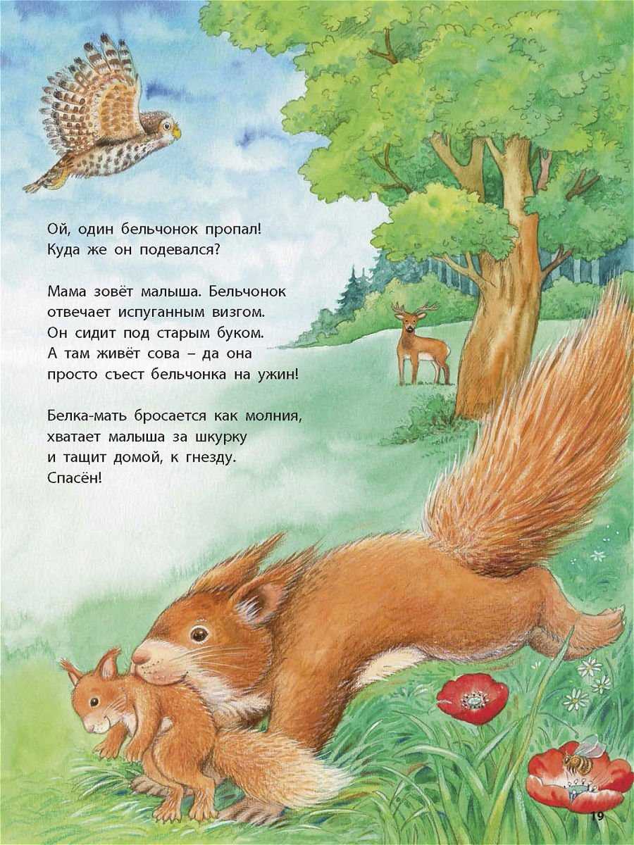 Сказка про белочек - озеро сказок