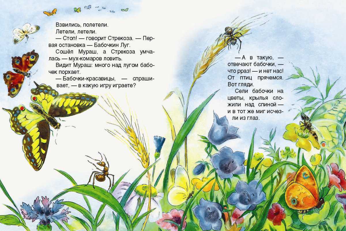 В.в. бианки - муравей и стрекоза
