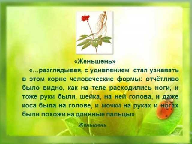 Почему достоевский считал эпилог преступления и наказания главной частью своего романа?