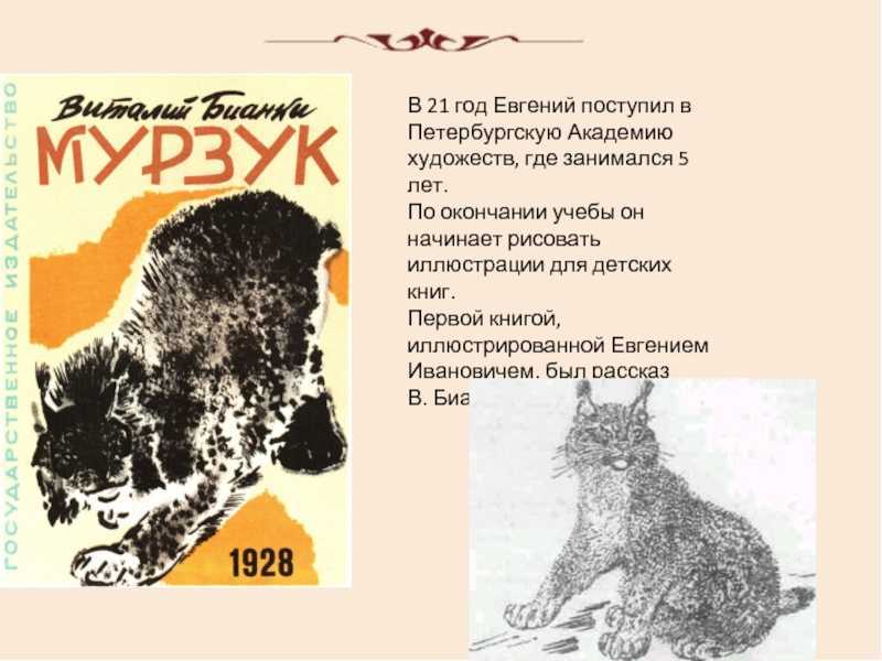 Через большой лес в местности, где живёт рассказчик, прокладывали широкое шоссе Сделанная для шоссе вырубка была похожа на коридор: две зелёные стены леса, и небо в конце