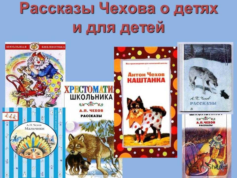 Цитата - 8 класс