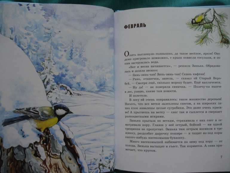 Краткое содержание бианки синичкин календарь за 2 минуты пересказ сюжета