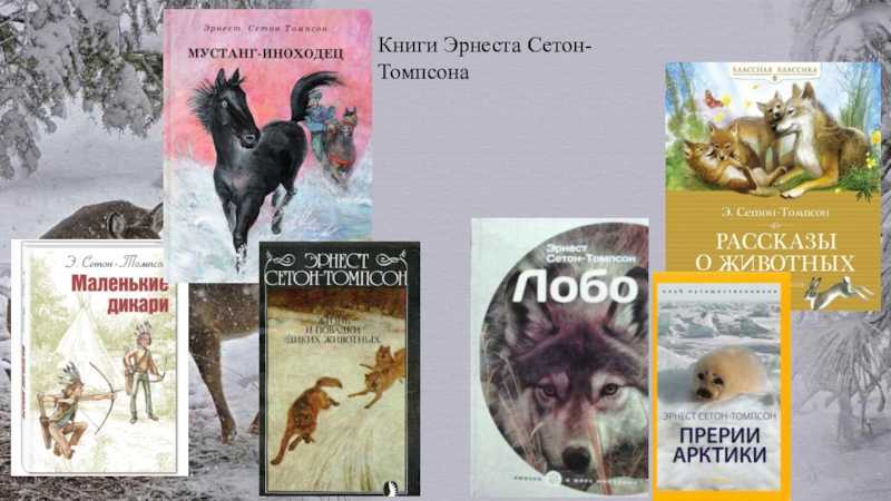 Томпсон «мустанг-иноходец»: краткое содержание книги