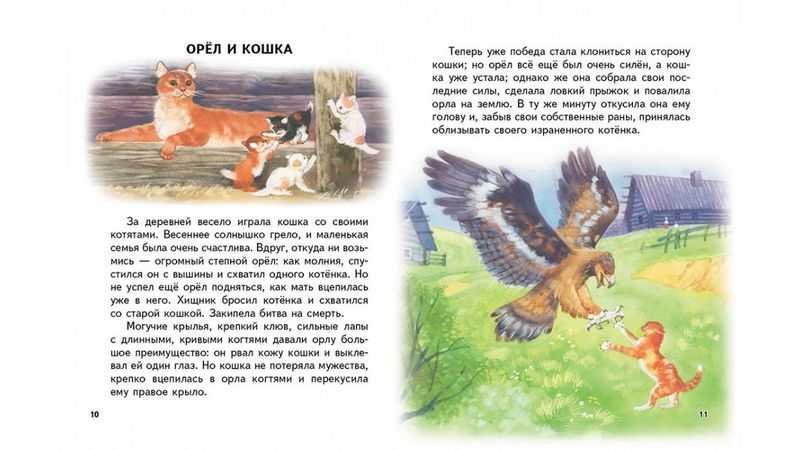 Ушинский «орёл и кошка» читать
