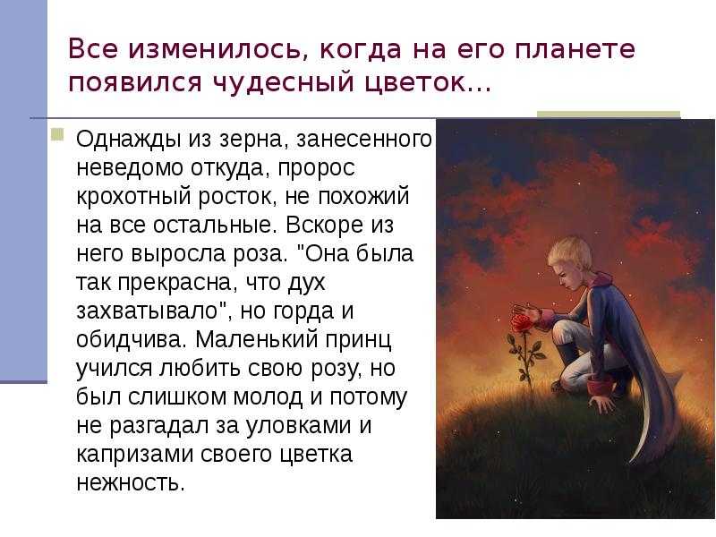 Встречи маленького принца и его открытия