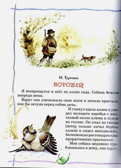 План-конспект. пересказ рассказа «воробей» по и. с. тургеневу.