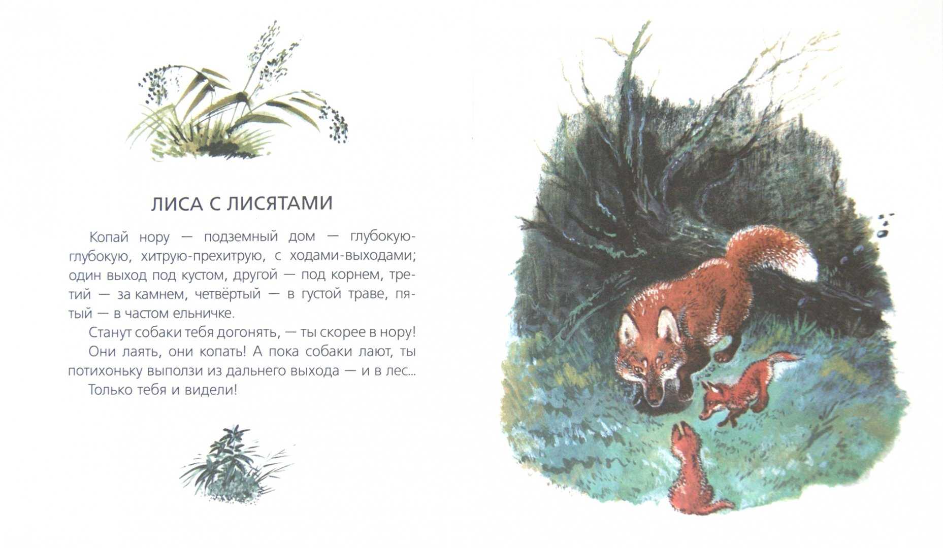 Большие и маленькие. е.чарушин. читать онлайн