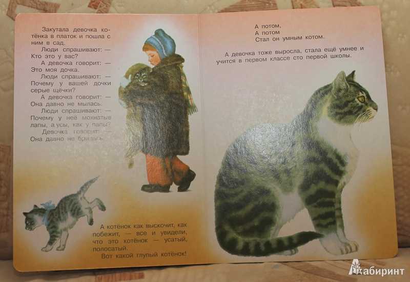 Самуил маршак ★ усатый полосатый читать книгу онлайн бесплатно