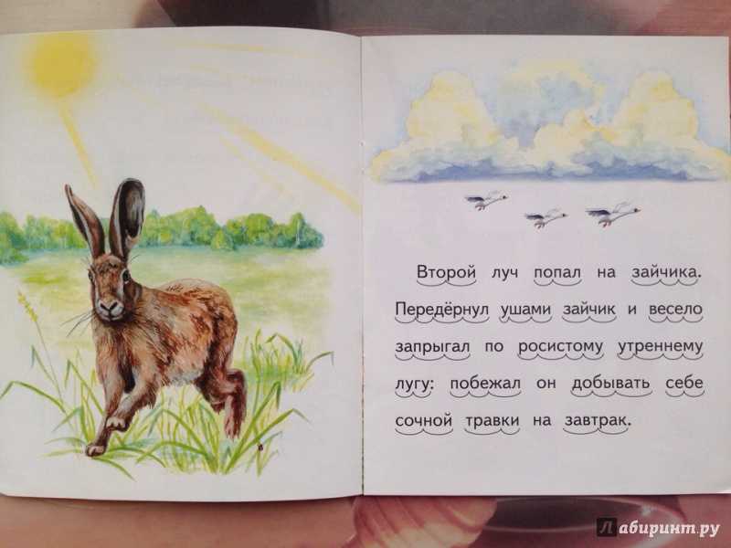 Утренние лучи. ушинский константин дмитриевич. рассказ - сказки сунгиря