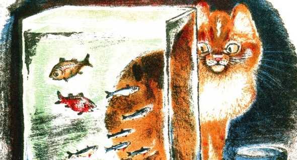 Кот епифан  — рассказ евгения чарушина