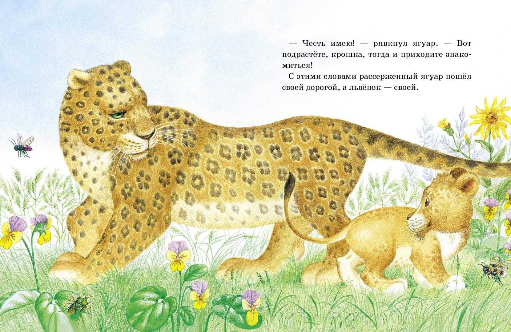 Непонятливый львёнок — сказка михаила пляцковского