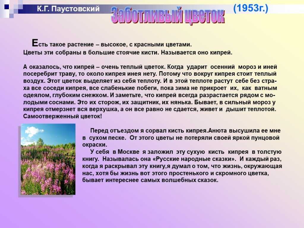 Заботливый цветок читать онлайн