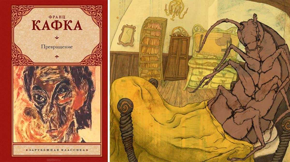 Смыслы "превращения" кафки глазами критиков и литературоведов - fant-fan