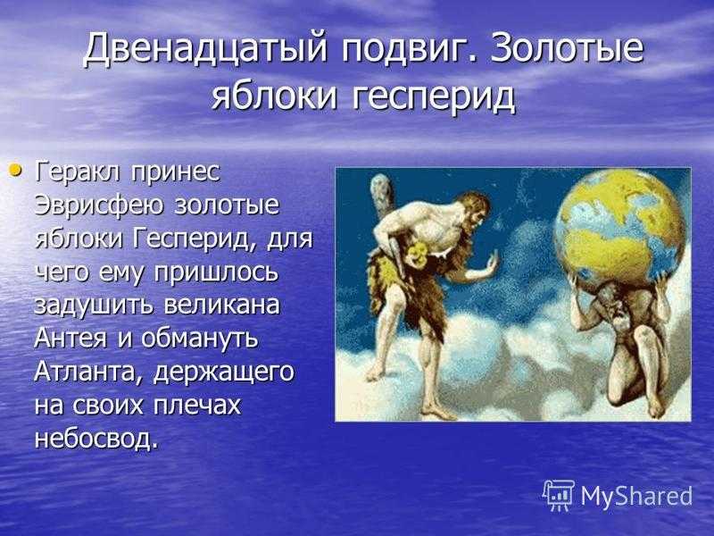 План яблоки гесперид План яблоки гесперид