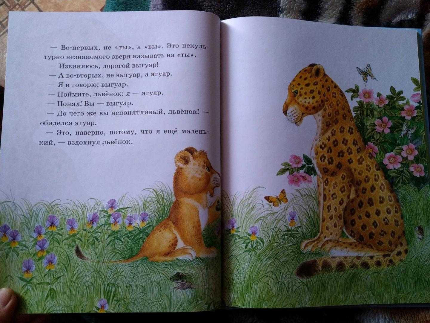 Непонятливый львёнок - сказка михаила пляцковского – сказки. рассказы. стихи.