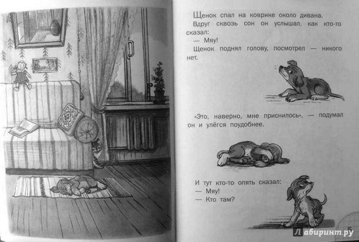 Кто сказал мяу? - сказки сутеева: читать с картинками, иллюстрациями - сказка dy9.ru