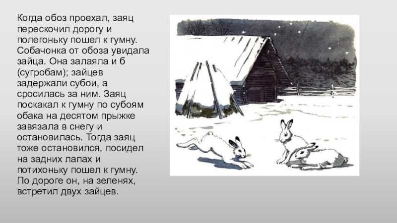 Толстой русак. Рассказ Льва Николаевича Толстого заяц Русак. Лев Николаевич толстой Русак. Лев Николаевич толстой рассказ зайцы. Заяц Русак рассказ толстой.