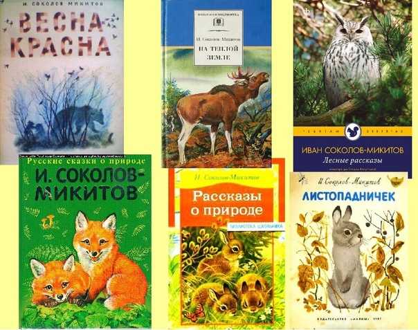 Читать онлайн книгу мои собаки - иван соколов-микитов бесплатно. 1-я страница текста книги.