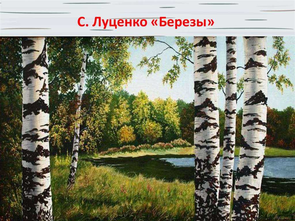 Краткое изложение астафьев родные березы даю 20 балов - узнавалка.про