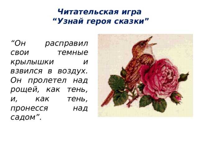 Краткое содержание соловей и роза оскар уайльд для читательского дневника