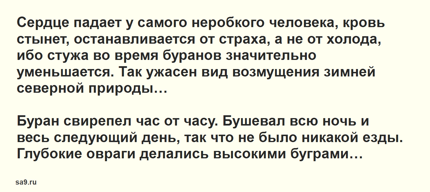 ✅ краткое содержание рассказа буран аксаков. проект исследовательской работы с.аксаков "буран" - radostvsem.ru