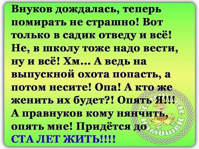 Светское общество в романе война и мир льва толстого