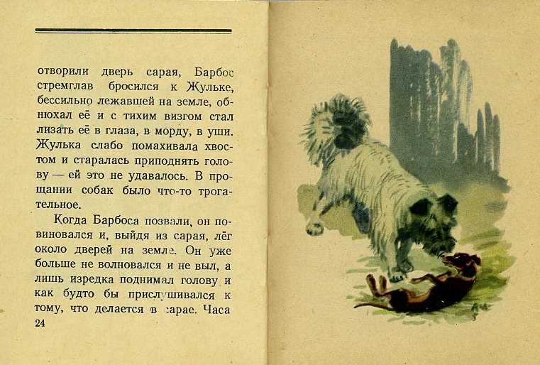 «барбос и жулька» — краткое содержание рассказа а.и. куприна