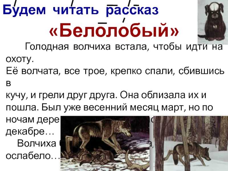 Белолобый скачать fb2, epub книгу чехов антон павлович, читать онлайн