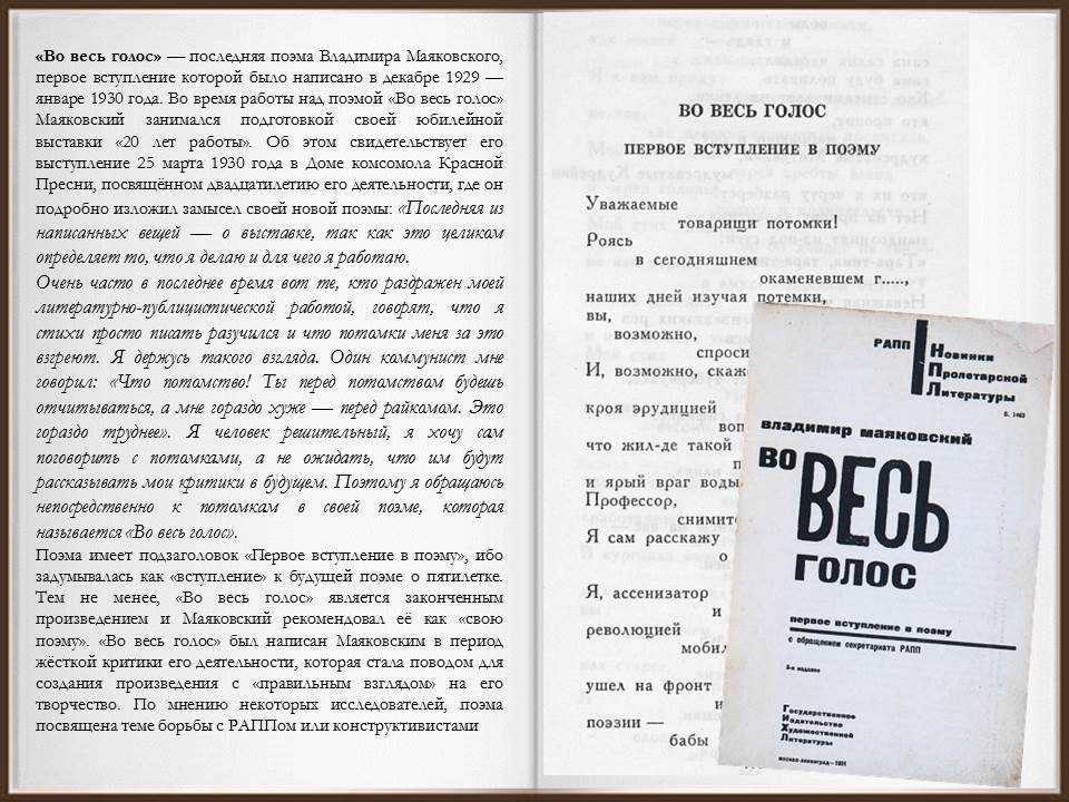 Драгунский в. «похититель собак» читательский дневник, краткое содержание