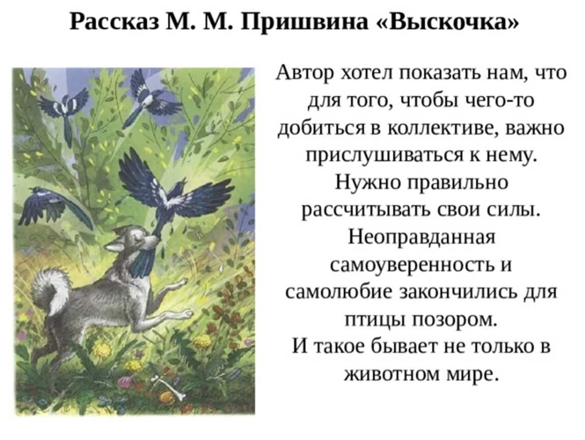 Характеристика главных героев рассказа "выскочка" пришвина | какой смысл