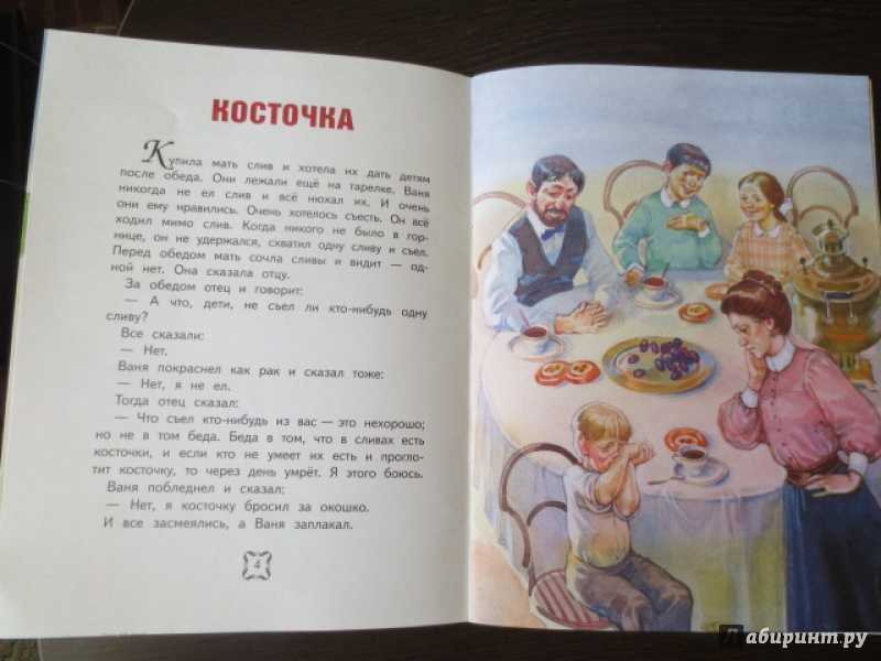 Лев толстой: косточка
