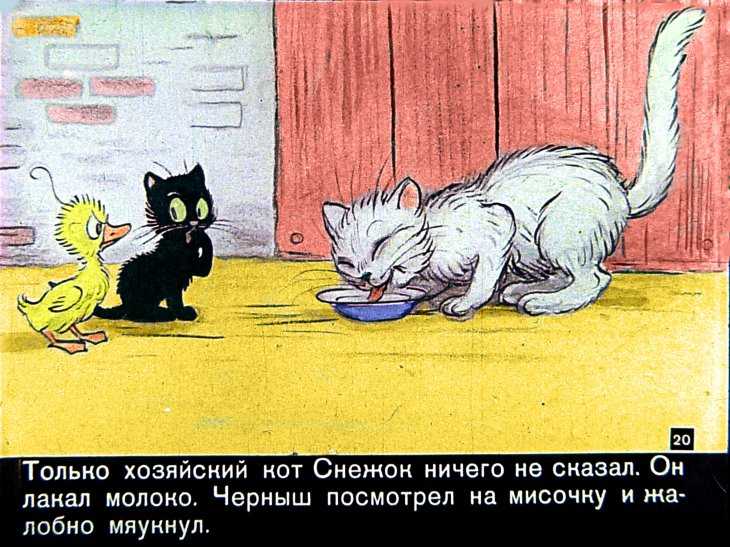 Знаменитый утенок тим - блайтон э. - разные сказки: читать с картинками, иллюстрациями - сказка dy9.ru